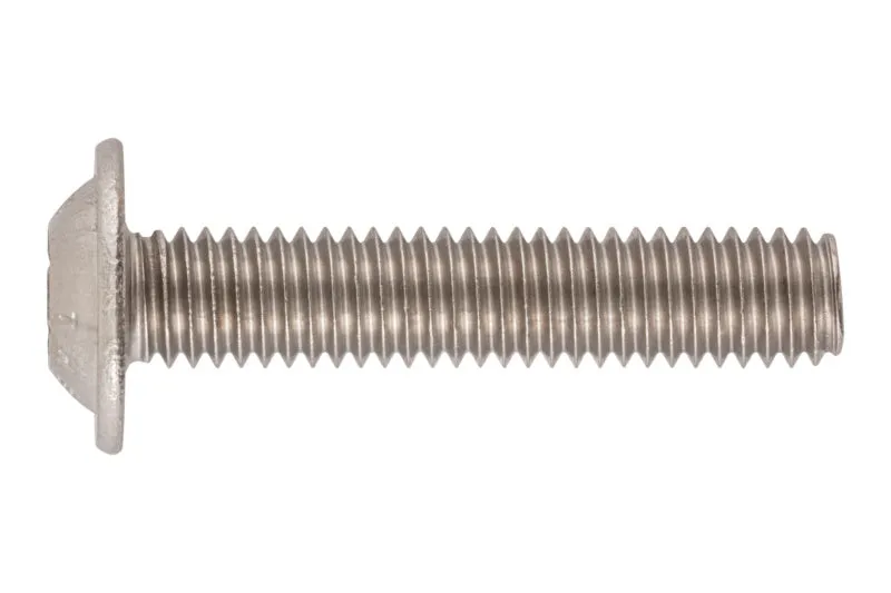 SHR-DIN34805/2-A2/070-TX55-M12X30- VP 100 Einheit