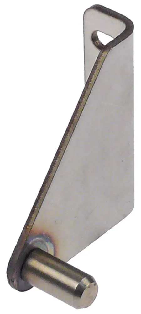 Türscharnier für Falcon G2151EU, G3107, G3101 EP links oben Länge 58mm