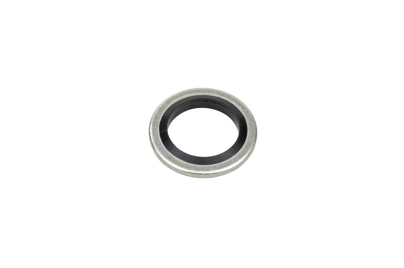 Schraubendichtung-n.-selbstzentrierend-SHB-SHRDI-SELBSTZENT