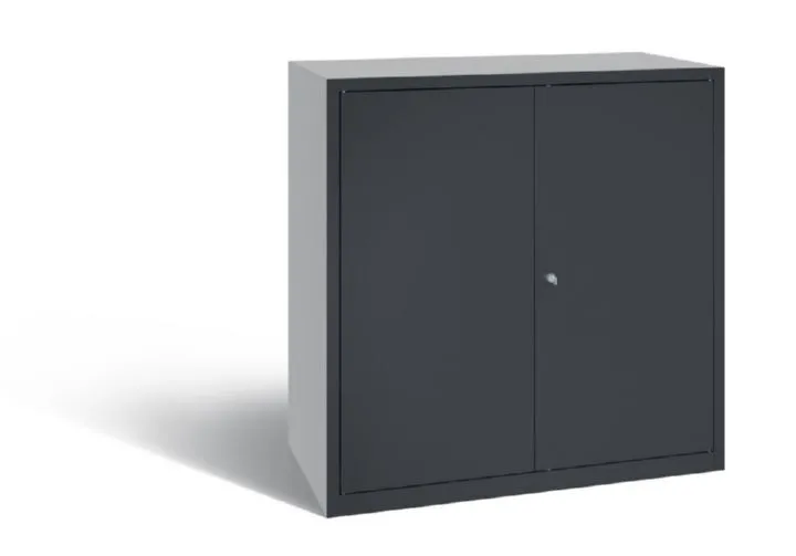 C+P Werkstattschrank 1 Schublade in anthrazit 1000 x 500 x 1000 mm