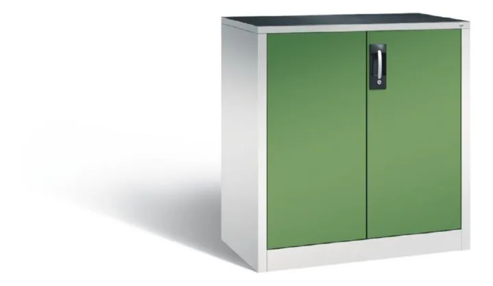 C+P Werkstattschrank verstärkte Türen resedagrün 930 x 500 x 1000 mm
