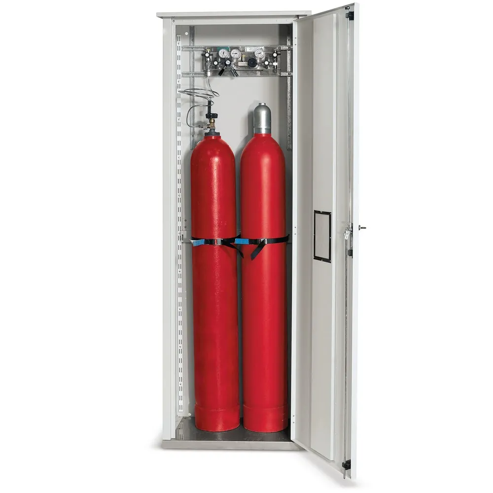 Druckgasflaschen-Schrank, HxBxT 2.150 x 700 x 400 mm